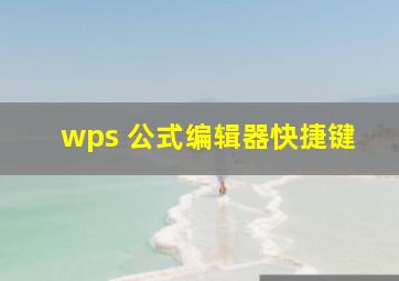 wps 公式编辑器快捷键